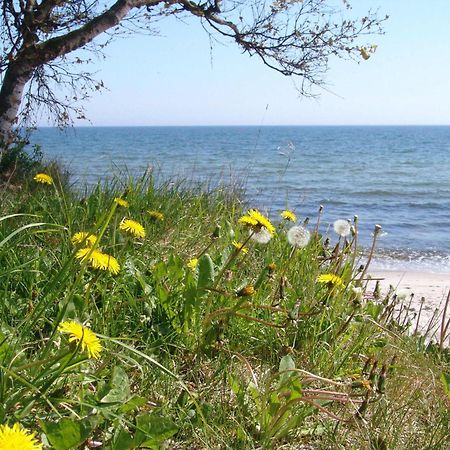 Ystad Camping Экстерьер фото