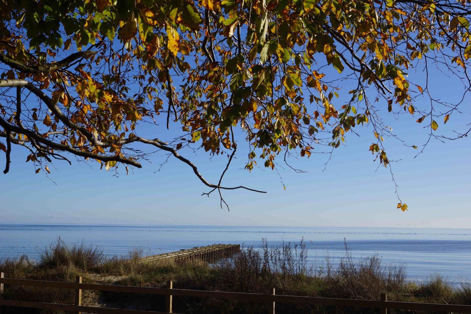 Ystad Camping Экстерьер фото