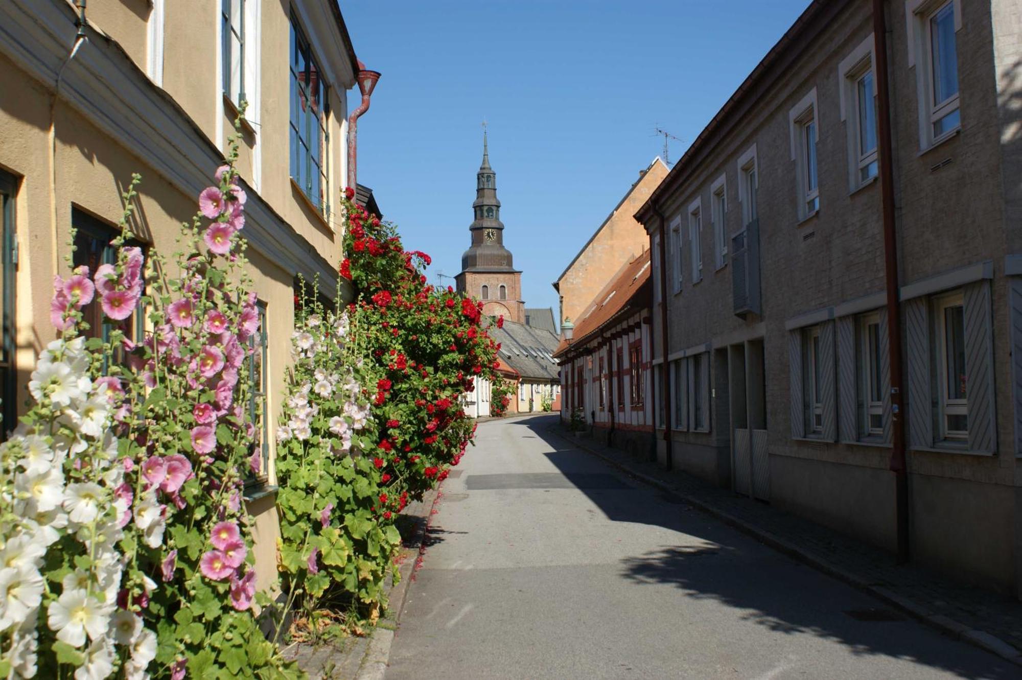 Ystad Camping Экстерьер фото